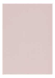 Clairefontaine Zeichenpapier A4 160g graurosa 5B