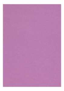 Clairefontaine Zeichenpapier A4 160g violett 5B