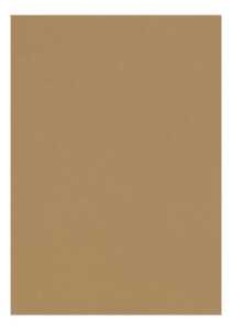 Clairefontaine Zeichenpapier A4 160g havannabraun 5B