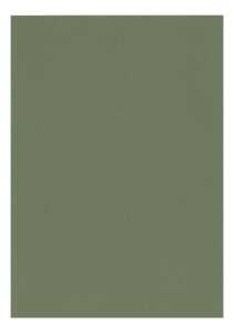 Clairefontaine Zeichenpapier A4 160g wassergrün 5B