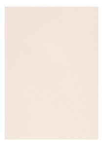 Clairefontaine Zeichenpapier A4 160g hellrosa 5B