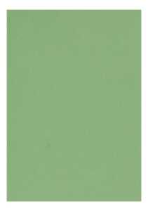 Clairefontaine Zeichenpapier A4 160g apfelgrün 5B