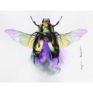 Clairefontaine Aqua. FKorn ETI 300g 56x76 25 Bg.