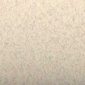 Clairefontaine Ingres 50x65 130g beige marm 25Bg