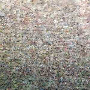 Clairefontaine EtivalColor 50x65cm 160g 24Bl Braun