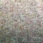 Clairefontaine EtivalColor 50x65cm 160g 24Bl Braun