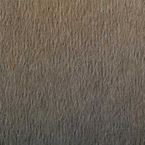 Clairefontaine Zeichenpapier 50x65 160g camel 24Bg 3329680937657