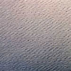 Clairefontaine Zeichenpapier 50x65 160g zitr 24Bg