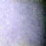 Clairefontaine Etival Color 160g A4 25Bl Flieder