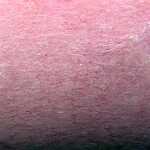 Clairefontaine Etival Color 160g A4 25Bl Fuchsia