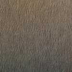 Clairefontaine Zeichenpapier A4 160g Grau 25Bg 3329680938654