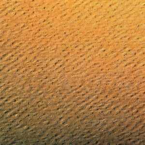 Clairefontaine Zeichenpapier A4 160g sonnengelb 25Bg