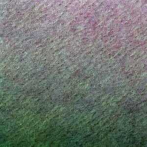 Clairefontaine Zeichenpapier A4 160g Violett 25Bg