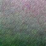 Clairefontaine Zeichenpapier A4 160g Violett 25Bg