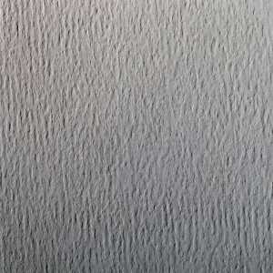 Clairefontaine Zeichenpapier A4 160g Hellgr 25Bg