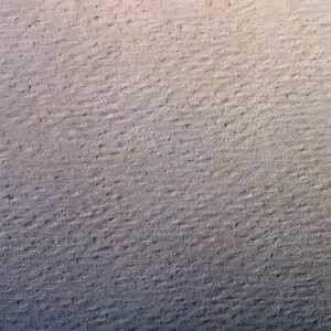 Clairefontaine Zeichenpapier A4 160g elfenbein 25Bg