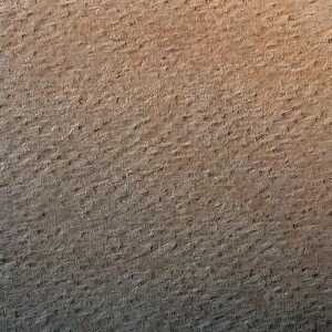 Clairefontaine Zeichenpapier A4 160g Rotocker 25Bg