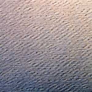 Clairefontaine Zeichenpapier A4 160g Pt zitron 25B