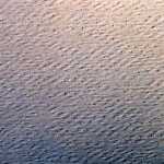 Clairefontaine Zeichenpapier A4 160g Pt zitron 25B