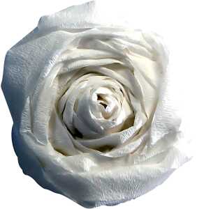 Clairefontaine Krepppapier 250x50 weiss