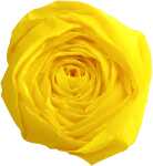 Clairefontaine Krepppapier 250x50 zitrone