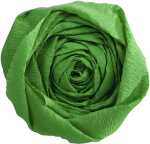 Clairefontaine Krepppapier 250x50 grün