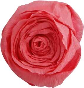 Clairefontaine Krepppapier 250x50 lachs