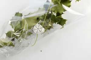 Clairefontaine Papfolie 40µ 3x0,7m Klarsicht