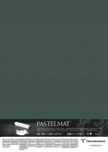 Clairefontaine Pastelmat 50x70 360g dkl-grün 5Bl