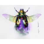 Clairefontaine Aquablo. FKorn ETI 200g 12x18 25Bl