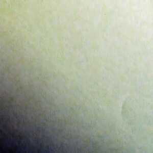 Clairefontaine Tonpapier 50x70 lindgrün 25Bg 3329681971520