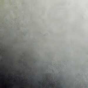 Clairefontaine Fotokarton 50x70 laubgrün 25Bg