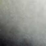 Clairefontaine Fotokarton 50x70 laubgrün 25Bg