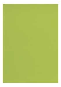 Clairefontaine Tonpapier A4 lindgrün 25Bg