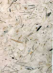 Clairefontaine Bananenpapier 65x95 kraft 10Bg