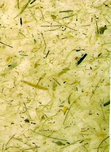 Clairefontaine Bananenpapier 65x95 zitrone 10Bg