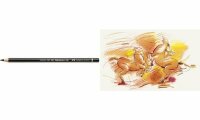 Faber Castell Farbstift Polychromos Farbe 115