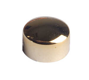 Magnete Ø 9mm gold 8St