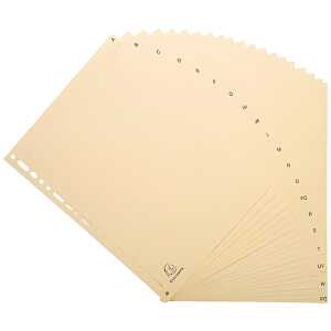Exacompta Register Karton A4 20-teilig A-Z