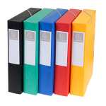 Exacompta Archivbox 24x32 60mm Manila sort