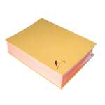 Unterschriftenmappen 20 F Kraft bn