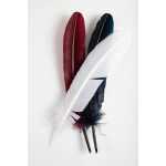 Herbin Gänsekiele, 22 cm lg, 4 Farb sortiert