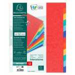 Register A4 XXL Cspan farbig 12tlg