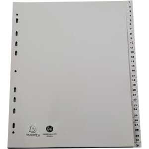 Exacompta Register A4+ Tlg 1-31 PP grau