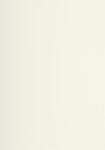 Lalo Papier A4 Verge 210g elfenbein 25Bl