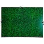 Exacompta Zeichenmappe B2 Annonay m Bänd