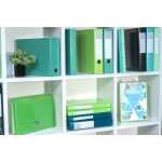 Ringbuch A4 2R 15mm Iderama schwarz