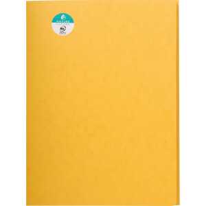 Aktenmappe A4+ Cspan 400g ge