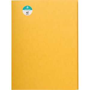 Exacompta Aktenmappe 24x32 Karton gb