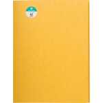 Aktenmappe A4+ Cspan 400g ge